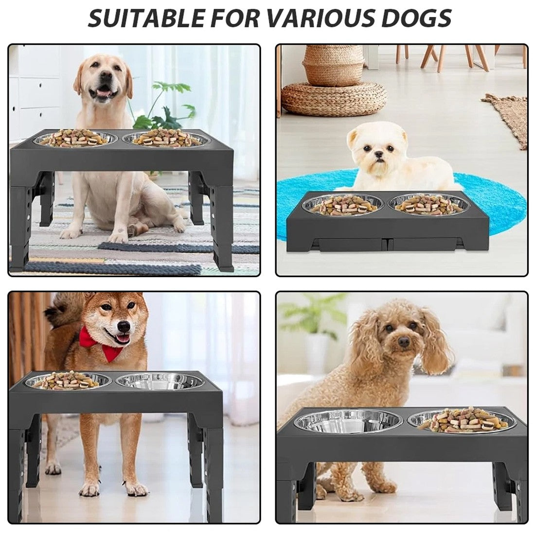 Elevated Dog Feeding Stand — Stainless Steel Double Raised Bowls for Dogs