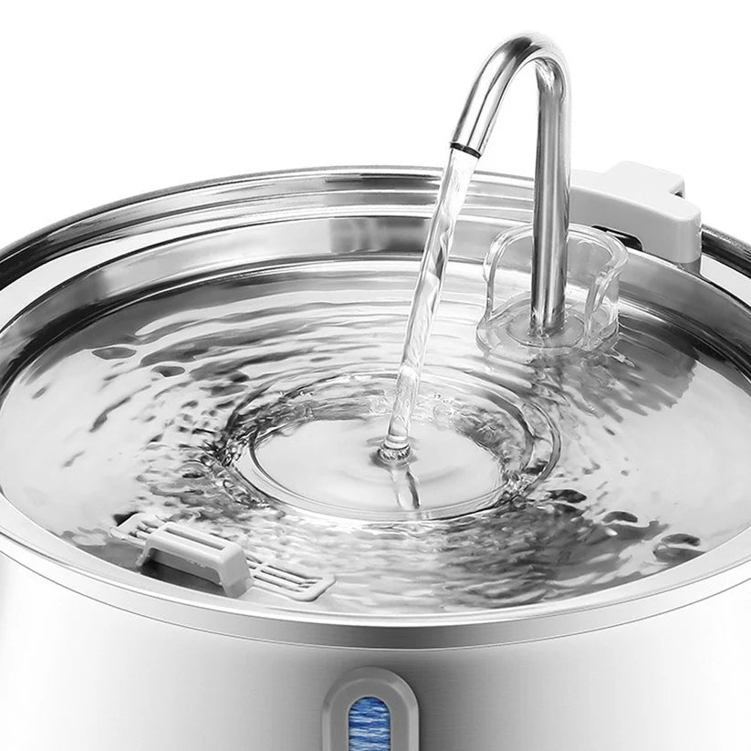 Close-up of Paws of Britain water fountain faucet — triple filtration system for cats