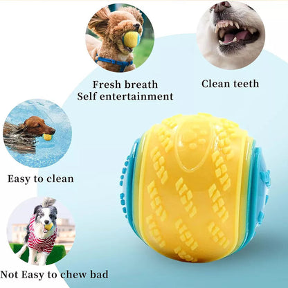 Squeaky Dog Balls — Set of 8 Colourful Chew & Fetch Toys for Dogs