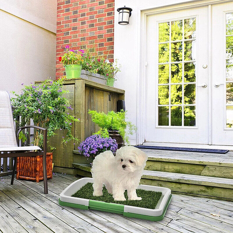 Indoor Dog Toilet Training Mat — Grass Potty Pad for Puppies & Small Dogs