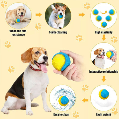 Squeaky Dog Balls — Set of 8 Colourful Chew & Fetch Toys for Dogs