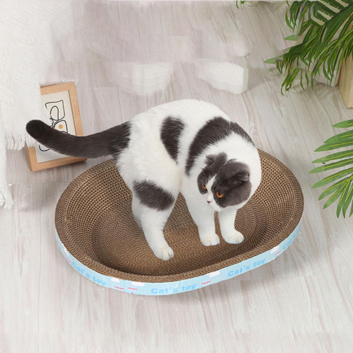 Cat Scratcher Lounge Bed — Cardboard Scratching Pad for Cats