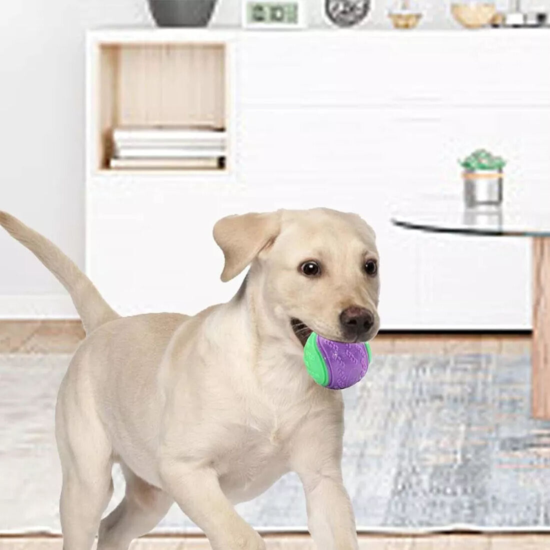 Squeaky Dog Balls — Set of 8 Colourful Chew & Fetch Toys for Dogs