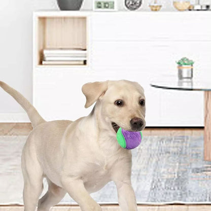 Squeaky Dog Balls — Set of 8 Colourful Chew & Fetch Toys for Dogs