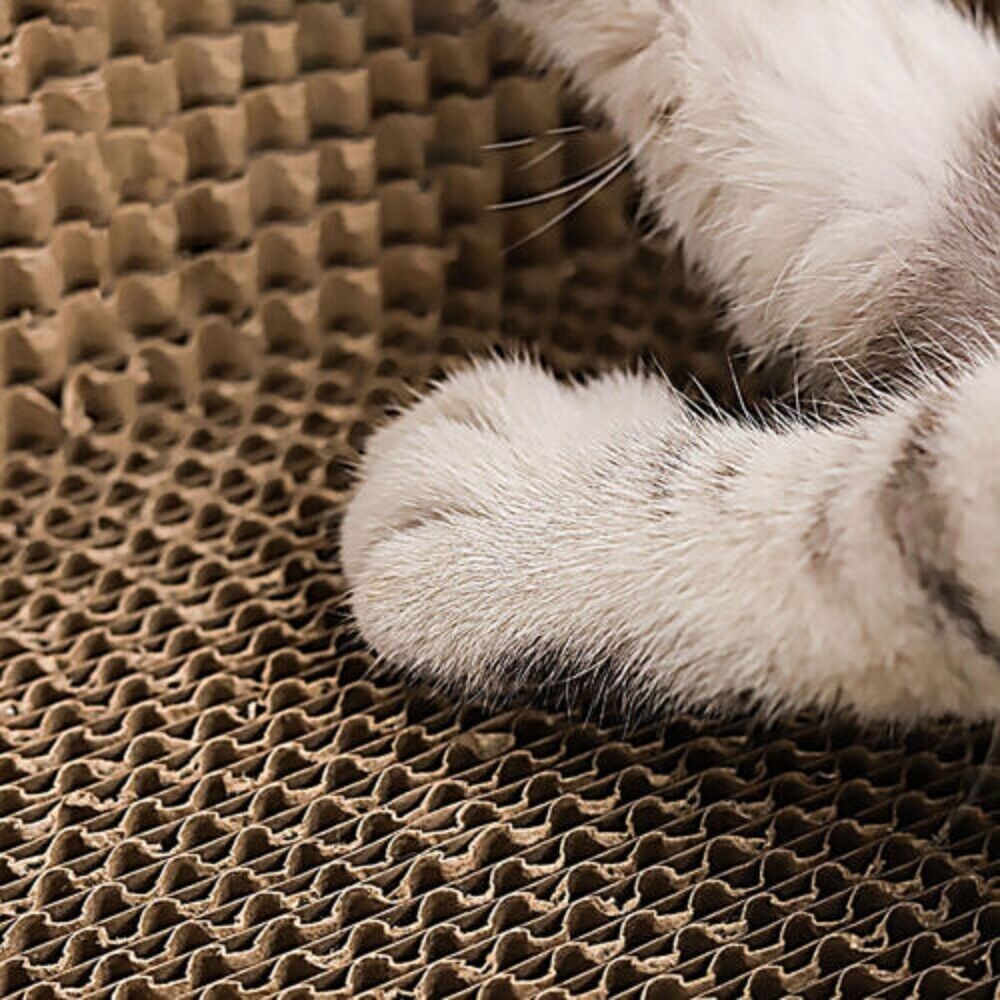 Cat Scratcher Lounge Bed — Cardboard Scratching Pad for Cats