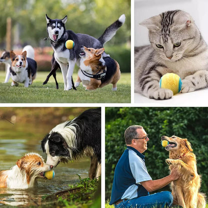 Squeaky Dog Balls — Set of 8 Colourful Chew & Fetch Toys for Dogs