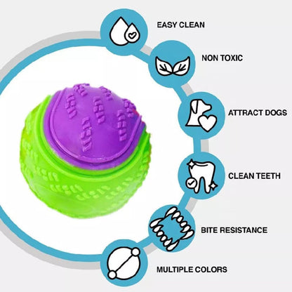 Squeaky Dog Balls — Set of 8 Colourful Chew & Fetch Toys for Dogs