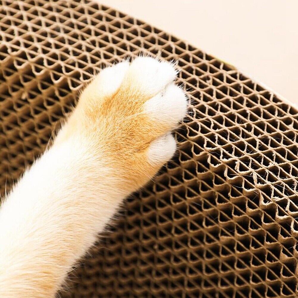 Cat Scratcher Lounge Bed — Cardboard Scratching Pad for Cats